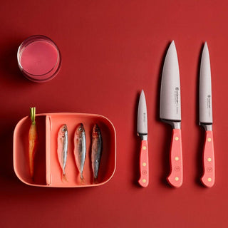 Wusthof Classic Color paring knife 9 cm. - Buy now on ShopDecor - Discover the best products by WÜSTHOF design